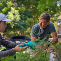 Organic Pest Control Solutions For Pittsburgh: Protecting Your Property Naturally