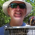 Why Organic Pest Control Might Fall Short For Squirrel Problems: The Case For Professional Wildlife Removal In Rocklin, CA