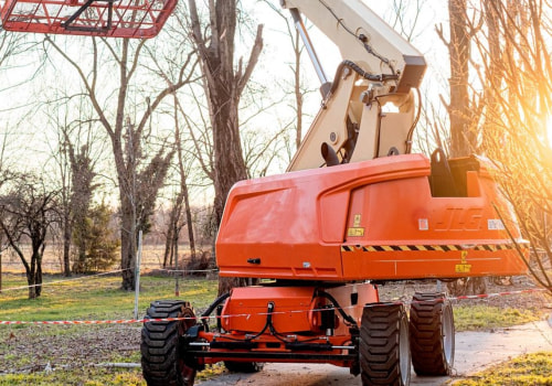 Maximizing The Benefits Of Tree Services And Organic Pest Control For Your Property