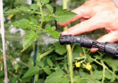 How do you control pest organically?